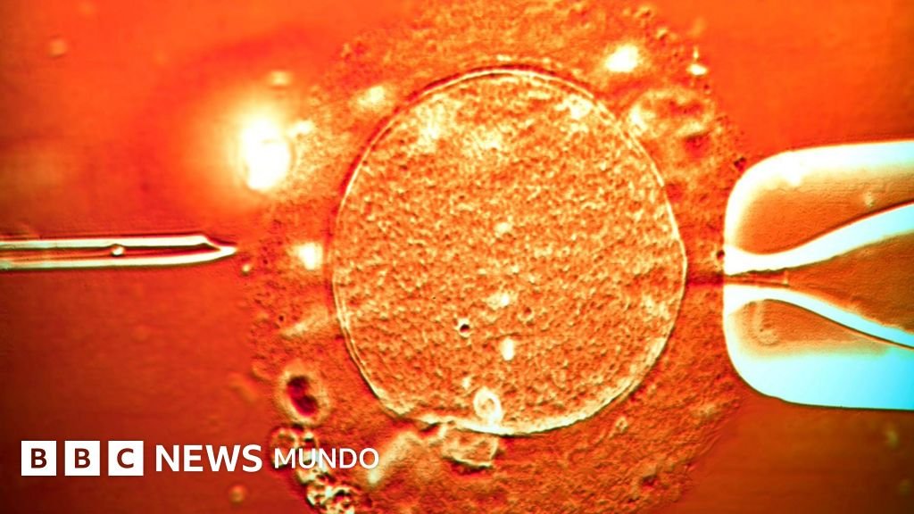 El esperma de un donante portador de un gen cancerígeno permitió concebir cerca de 200 niños: "Varios han desarrollado tumores y algunos han perdido la vida"