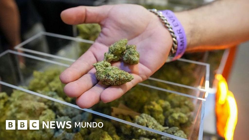 Trump emite una orden ejecutiva para reclasificar la marihuana como una sustancia menos peligrosa y facilitar su acceso.