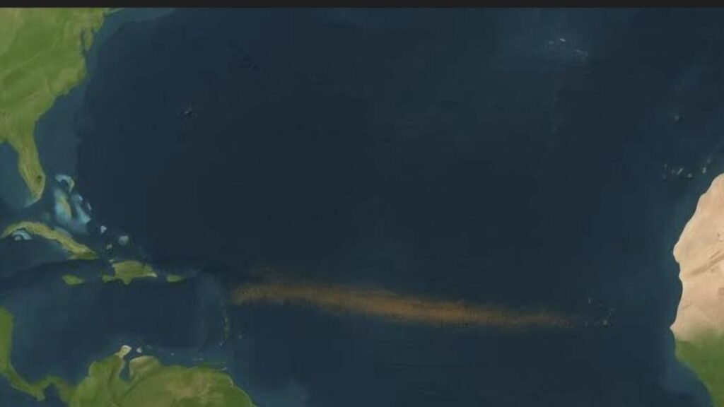 Alertan sobre un incremento histórico de sargazo en las playas de México