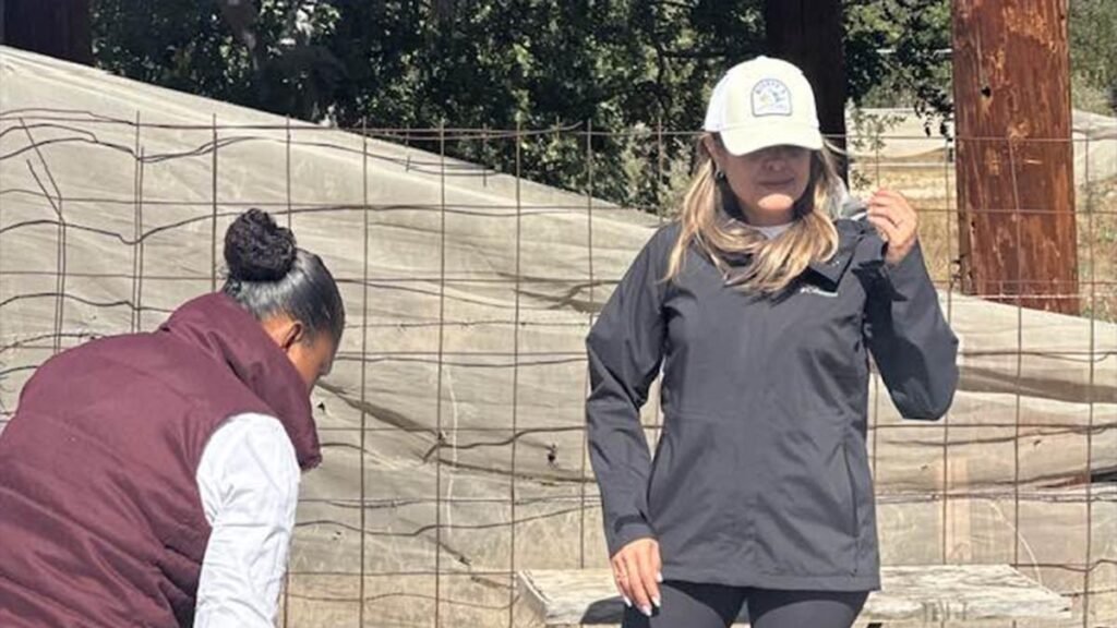 Exdirectora del INVI en BCS enfrentar á juicio por presunto desfalco