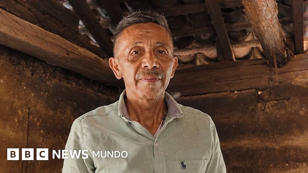 "Animales sufren por falta de agua y comida": el impacto devastador de El Niño ya es palpable en el Corredor Seco de Centroamérica.